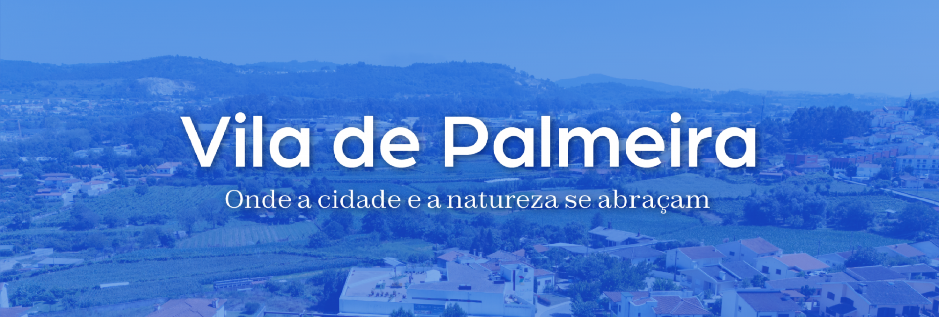 Palmeira